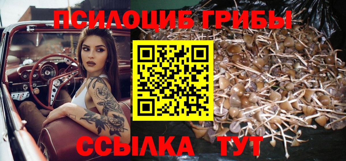 Псилоцибиновые грибы мицелий Старая Купавна