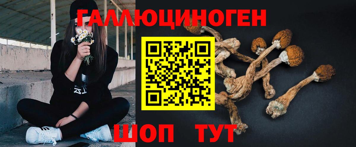 магазин продажи   Псилоцибиновые грибы Psilocybe  Вход с VPN  Старая Купавна 